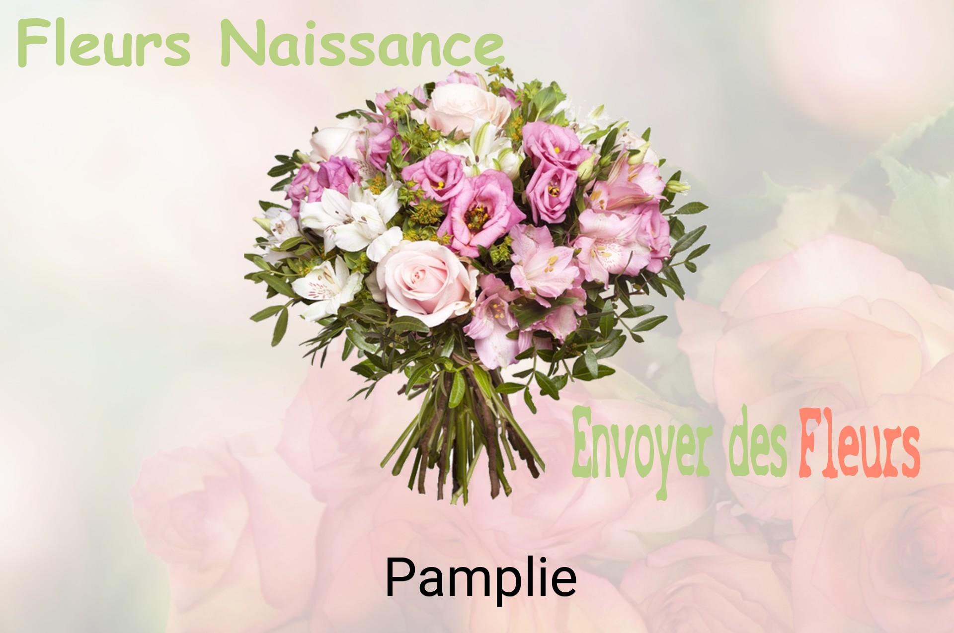 Bouquet de fleurs de naissance livré à Pamplie